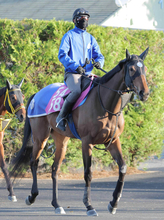 【関東オークス】岩田父子の壮絶叩き合い　勝ったのは息子・望来のペンダント　３歳牝馬ダート女王に導く