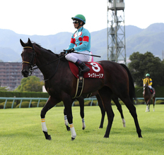 【４日の注目・函館４Ｒ】良血馬ホウオウザロイヤルがついにデビュー　母は０８年秋華賞馬のブラックエンブレム