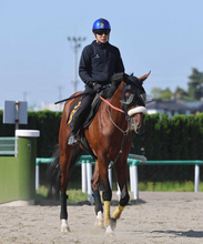【注目馬動向】骨折から復帰戦となる日本海Ｓはルメール騎手と４戦ぶりコンビ　青葉賞で２着のタイダルロック　