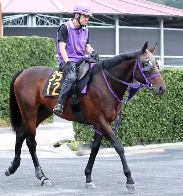 【今週のトク注新馬】エフフォーリア産駒×鹿戸厩舎　「素直で一生懸命なのが似ている」ノヴァルクスが東京で初陣