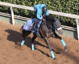 【ホープフルＳ・土曜追い】ジャスティンビスタがラスト１ハロン１０秒８で“爆走”　吉岡調教師「あまり見ない数字」