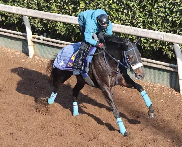 【ホープフルＳ・土曜追い】ジャスティンビスタがラスト１ハロン１０秒８で“爆走”　吉岡調教師「あまり見ない数字」