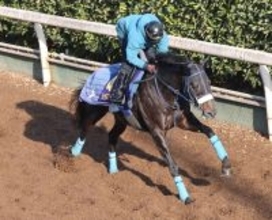 【ホープフルＳ・土曜追い】ジャスティンビスタがラスト１ハロン１０秒８で“爆走”　吉岡調教師「あまり見ない数字」