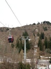 【五輪】雪がないよ…。　地球温暖化の影響なのか…現地発、担当記者の日記