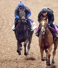 【桜花賞】ルールザウェイヴ落ち着き十分　馬なり併入に原優介騎手「ちょうどいいあんばい」
