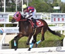 【西日本クラシック・阪神アーバン競馬】ミルトイブニングが大差逃げ切り勝ち　広瀬航騎手「思っていた以上の脚」
