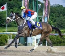 強さにネット驚嘆「途中から加速がおかしい」「やっぱ次元が違うよ…」楽々と４馬身差　サキドリトッケンが地方重賞７連勝　佐賀皐月賞