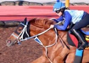 【オークス・１週前】「すごく乗りやすかった」ジュウリョクピエロは今村聖奈騎手とＣＷコースで余裕たっぷりに１１秒１