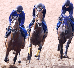 【平安Ｓ】昨年の“砂のダービー馬”ナルカミは３頭併せで集中力キープ　田中博調教師「自発的に反応していた」