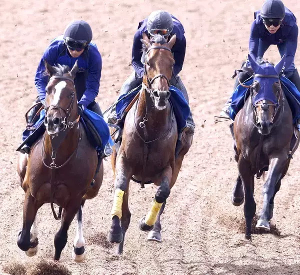 【平安Ｓ】昨年の“砂のダービー馬”ナルカミは３頭併せで集中力キープ　田中博調教師「自発的に反応していた」