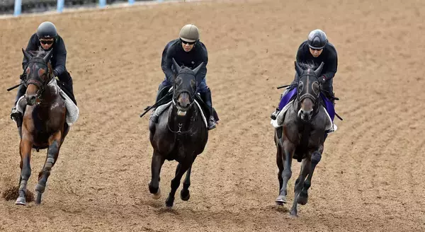【宝塚記念・１週前】グイッと先着　コスモキュランダは気配上々　加藤士調教師「馬場が悪いなかでもいい時計」