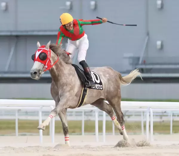 名古屋の“芦毛の怪物”アストラビアンコが大差勝ち　細川智史騎手が号泣「みんなを笑わせられるように頑張ります」東海優駿