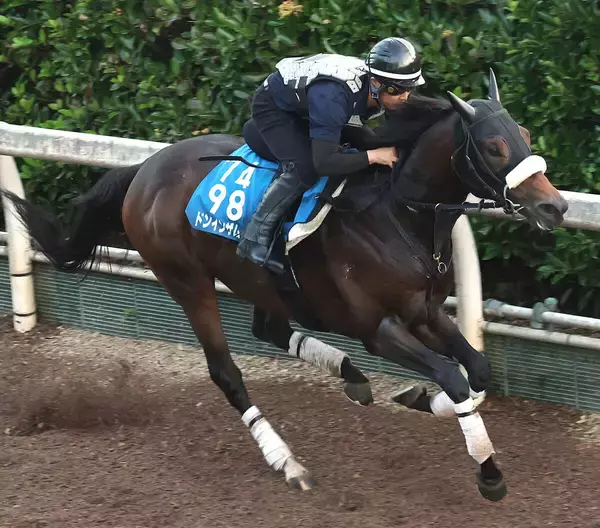 【東海Ｓ・１週前】「えぐいパフォーマンス」前走の７馬身差圧勝のドンインザムード　今野調教師は調整に手応え十分