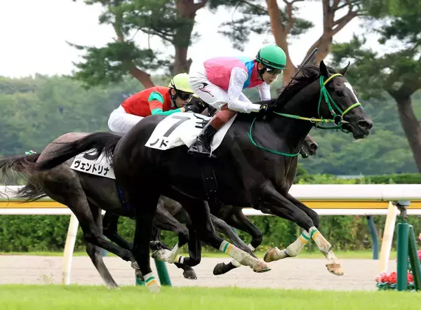 【新潟１Ｒ】ノドゥスが初戦１２着から一変の初Ｖ　三浦皇成騎手「エンジンがかかったところがゴールでした」