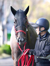 【中京記念】単勝回収率１５０％超えの鞍上に乗れ！２年連続３歳牝馬Ｖ狙うナムラコスモス　陣営も納得の出来