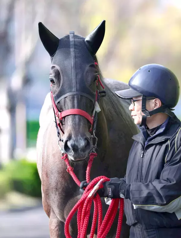 【中京記念】単勝回収率１５０％超えの鞍上に乗れ！２年連続３歳牝馬Ｖ狙うナムラコスモス　陣営も納得の出来