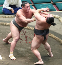三段目・天照馬が元十両・宮乃風を破り３勝目　同部屋・大凜山の勝利に刺激「負けてられないと思った」