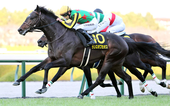 【阪神１１Ｒ・リゲルＳ】ランスオブカオスがゴール前で捉え切ってＶ　吉村誠之助騎手「もう一段頑張ってほしい」