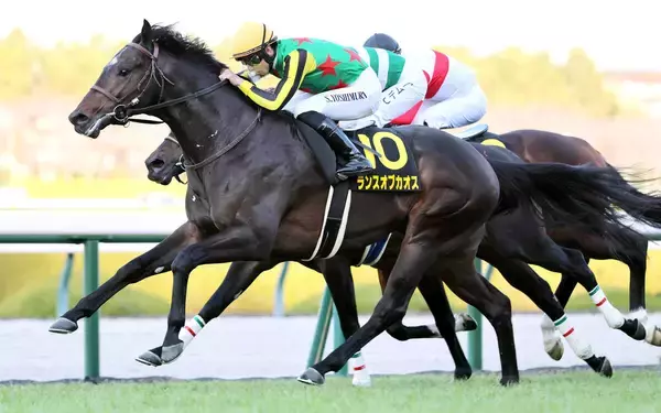 【阪神１１Ｒ・リゲルＳ】ランスオブカオスがゴール前で捉え切ってＶ　吉村誠之助騎手「もう一段頑張ってほしい」