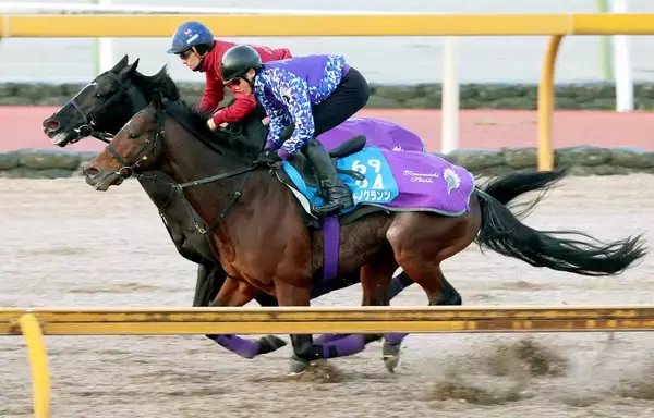 異色タッグが誕生した訳　３年連続参戦となる次戦カタールでのサトノグランツ鞍上は昨年の地方全国リーディング騎手