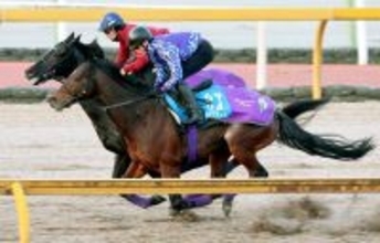 異色タッグが誕生した訳　３年連続参戦となる次戦カタールでのサトノグランツ鞍上は昨年の地方全国リーディング騎手