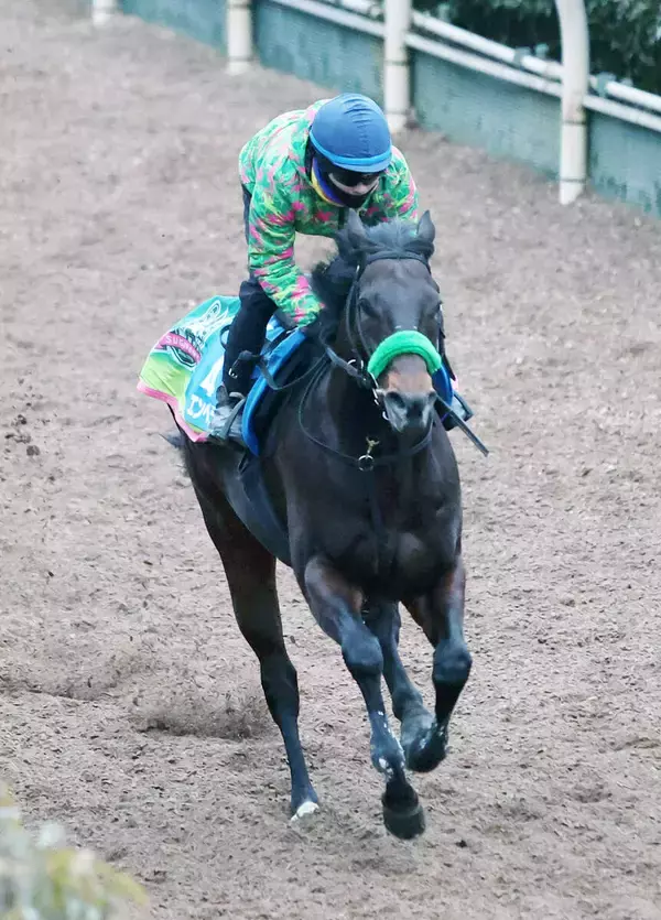 【根岸Ｓ】２年前の勝ち馬エンペラーワケアは５枠９番　複勝率１００％ウェイワードアクトは１枠１番　枠番確定