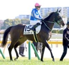 【東京５Ｒ・３歳新馬】ルメール騎手「今日の馬場で外枠は厳しい」　ハーパーの半妹コンティは単勝１・８倍で９着　