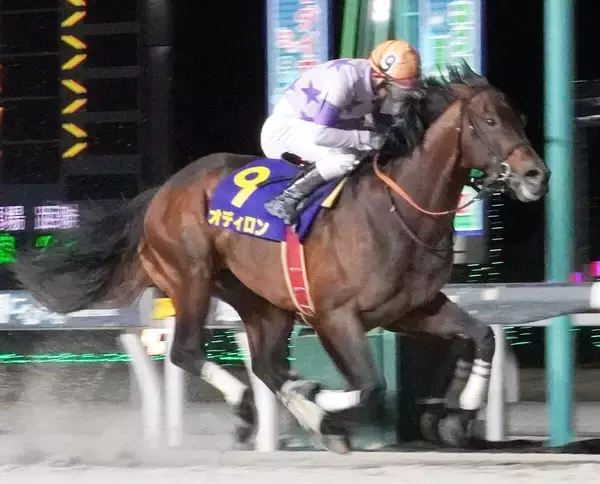 【ダイオライト記念】売得金レコードを更新　１３億円超　兵庫所属の７番人気オディロンが強豪ＪＲＡ勢を撃破