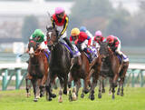 「Ｇ１馬ジェラルディーナが２番目の子を出産　父エピファネイアの牝馬は「お母さんのそばではすこし控えめに」」の画像1