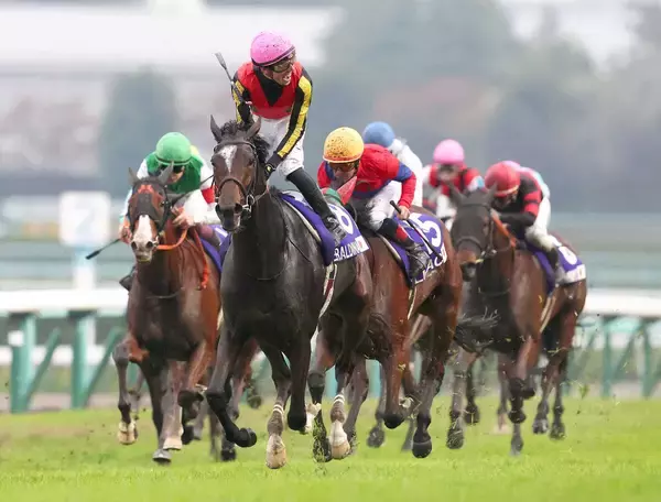 Ｇ１馬ジェラルディーナが２番目の子を出産　父エピファネイアの牝馬は「お母さんのそばではすこし控えめに」