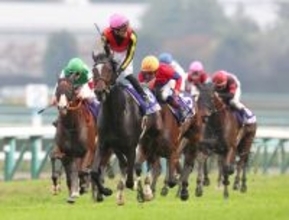 Ｇ１馬ジェラルディーナが２番目の子を出産　父エピファネイアの牝馬は「お母さんのそばではすこし控えめに」