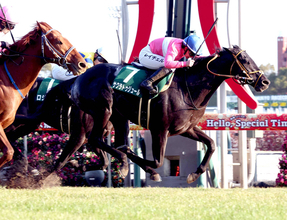 ”キング姐さん”と重賞２勝　サクラトゥジュールが競走馬登録を抹消　金沢競馬に移籍へ