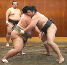 幕下・不動豊が申し合い稽古で８連勝　大学４冠で春場所幕下付け出しデビューの男は「秋場所は全勝したい」
