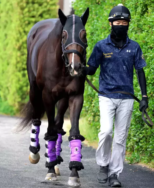 【注目馬動向】５・９億円馬エムズビギンは来週栗東に帰厩　武豊騎手とのコンビで神戸新聞杯から始動