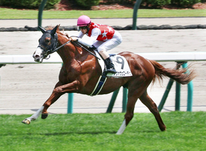 【札幌２歳Ｓ】勢いのある新種牡馬の父へ産駒初の重賞タイトル届ける　ノヴァヴェローチェが素質証明へ