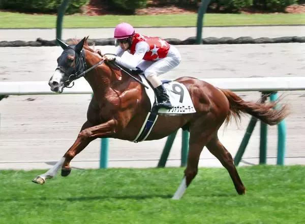 【札幌２歳Ｓ】勢いのある新種牡馬の父へ産駒初の重賞タイトル届ける　ノヴァヴェローチェが素質証明へ