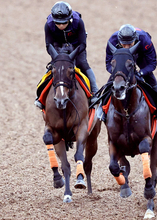 【オールカマー】武藤親子重賞連勝へ　エセルフリーダ「動きは十分」