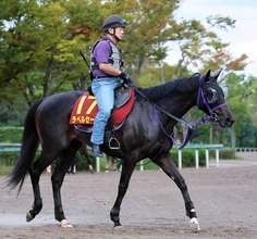 【秋華賞】４戦３勝ラベルセーヌの勢いは本物　鹿戸調教師「特に精神的にかなり大人になっている」