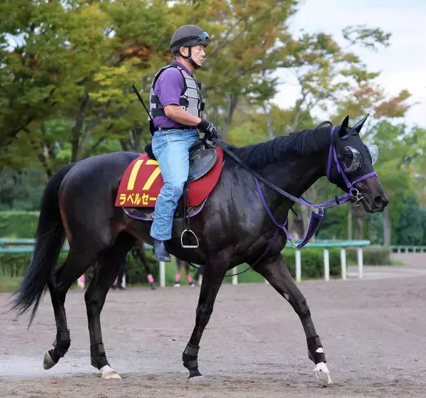【秋華賞】４戦３勝ラベルセーヌの勢いは本物　鹿戸調教師「特に精神的にかなり大人になっている」