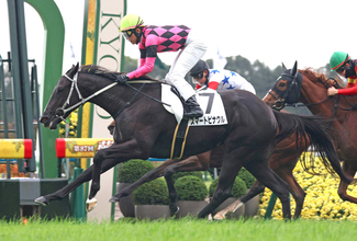 【京都５Ｒ・２歳新馬】「ちょっと楽しみですよ、この馬は」武豊騎手も興奮のスマートピナクルが完勝！石橋厩舎とのタバルコンビ