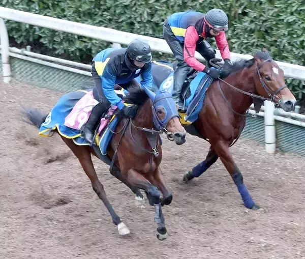 【紅梅Ｓ】テイエムスティールがクラシックへ向け連勝を狙う　高橋一調教師「結果次第では桜花賞も目指したいです」