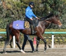 【注目馬動向】ブルーバードＣを勝った田中博厩舎のフィンガーは京浜盃へ
