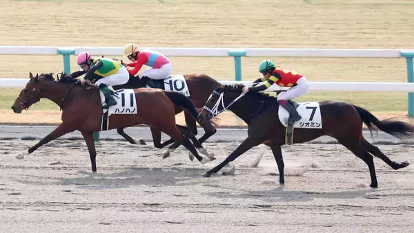 【京都２Ｒ】２０１０年以来の珍記録？　１分１５秒５の遅いタイムでの決着　２６年前にはさらにすごい時計も