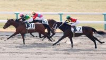 【京都２Ｒ】２０１０年以来の珍記録？　１分１５秒５の遅いタイムでの決着　２６年前にはさらにすごい時計も