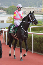 【アンタレスＳ】「勝ち馬が強かった」武豊騎手のモックモックは見せ場たっぷりの２着　歴代単独最多勝利の記録更新はお預け