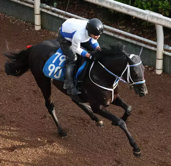 【アンタレスＳ】「勝ち馬が強かった」武豊騎手のモックモックは見せ場たっぷりの２着　歴代単独最多勝利の記録更新はお預け