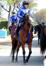 【注目馬動向】東京スプリント５着ママコチャはさきたま杯を視野に　池江調教師「ダートでも走れるところを見せたい」