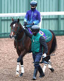 「【安田記念・１週前】パンジャタワーとセイウンハーデスが併せ馬　松山弘平騎手、幸英明騎手ともに好感触」の画像1