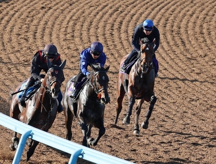 【日本ダービー】ゴーイントゥスカイが武豊騎手を背にフォルテアンジェロに追走併入　「何も気になるところが無い」