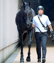 【注目馬動向】クロワデュノールの全弟チャリングクロスは８月３０日の新潟・３勝クラスの日本海Ｓへ